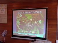 なかなか思うように転がらない。