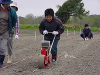種まき機でソバの種をまく参加者