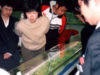 これが私たちの公園ですか？