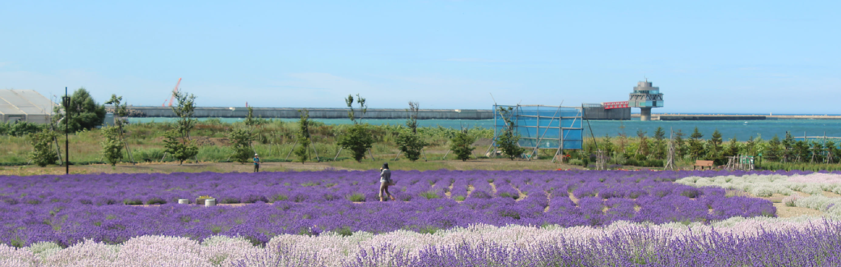 オホーツク流氷公園のサムネイル